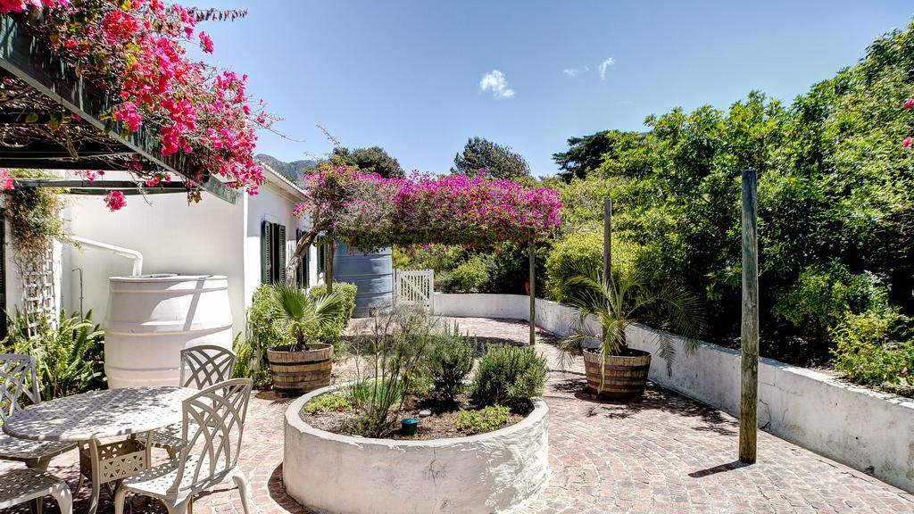 Little Paradise Noordhoek Εξωτερικό φωτογραφία